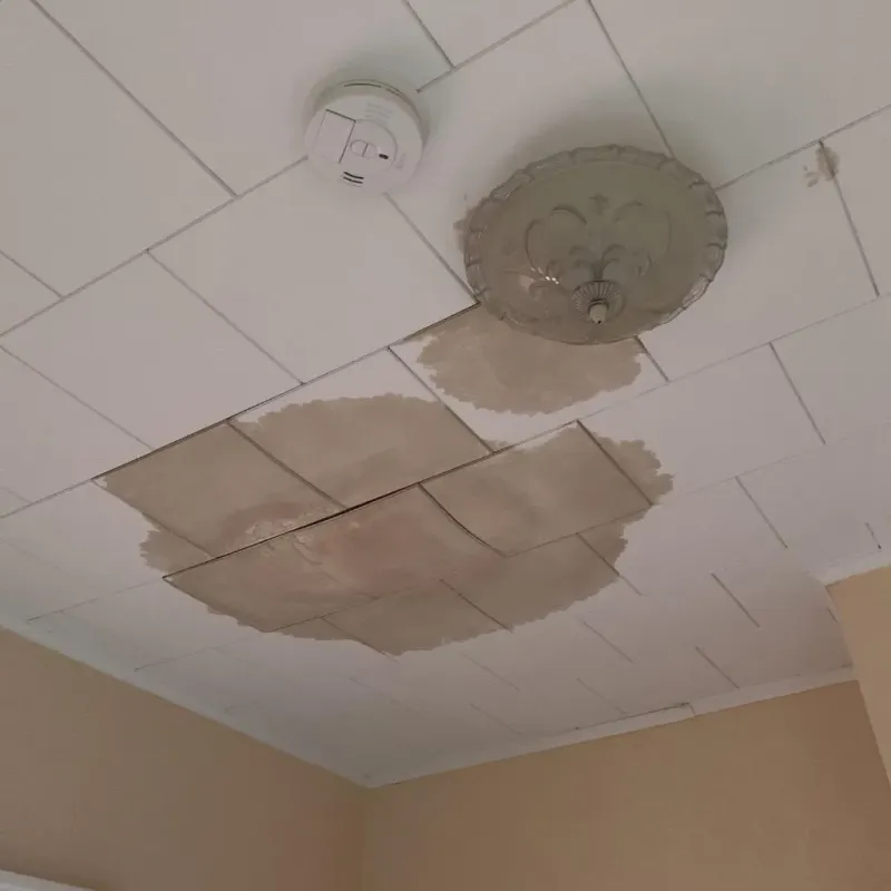 Ceiling Water Damage Repair in Albertville, MN